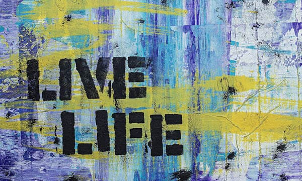 Disegno e Gestione degli Interventi Sociali - copertina